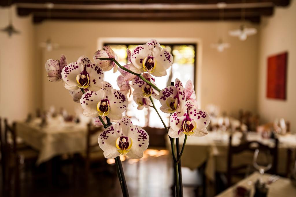 Charme Hotel Osteria Carletti Bedano Extérieur photo